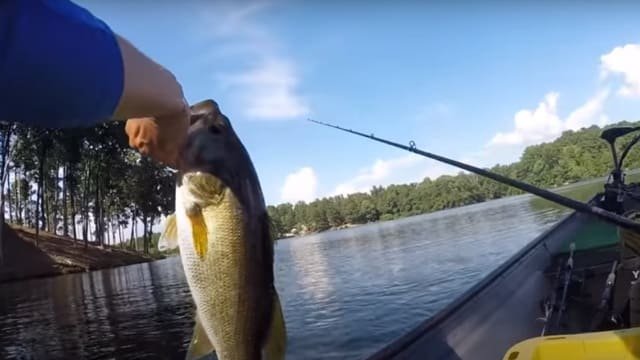 Cómo funciona una sonda de pesca-13