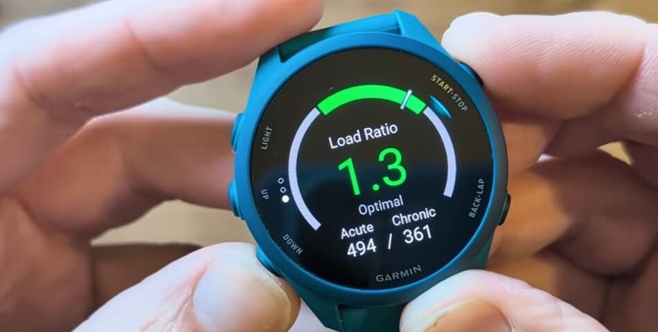 Garmin Forerunner 70-091
